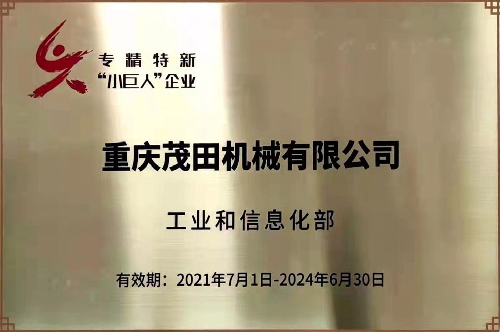 國(guó)家小巨人證書(shū)